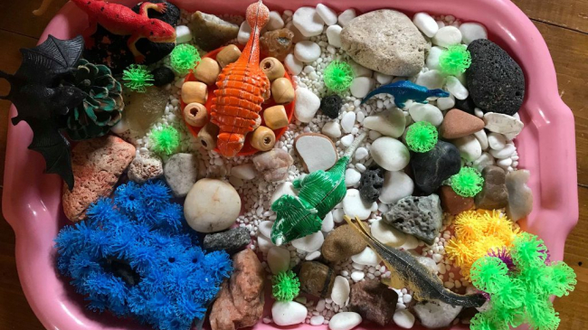 Развитие и обучение детей: игрушечные миры