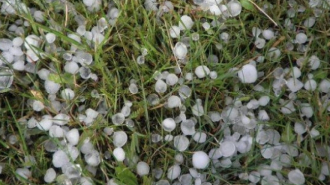 Sute de hectare de produse agricole, distruse din cauza ploilor cu grindină