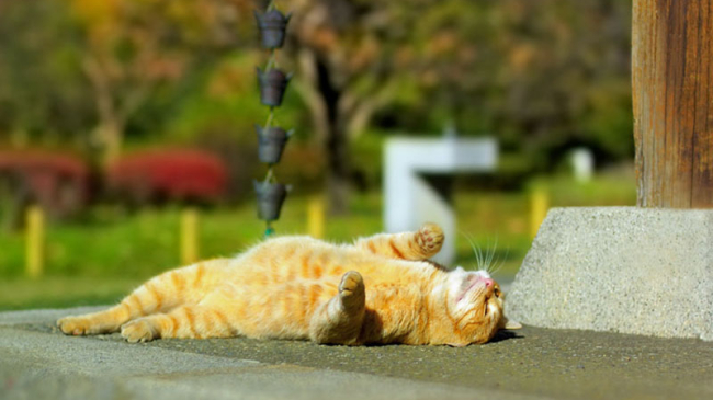 Prognoza meteo pentru 18 mai