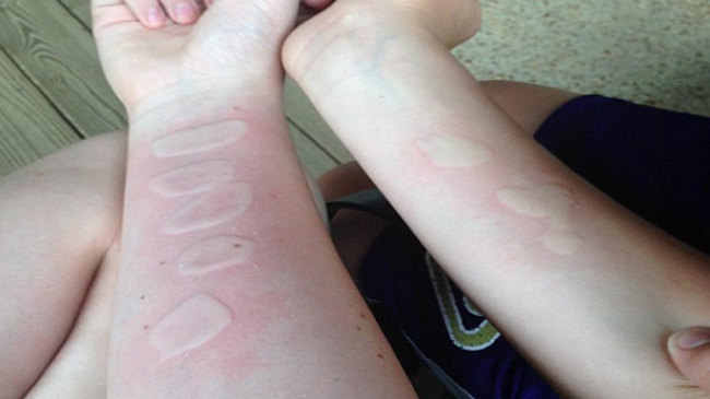 Atenție! Un joc online periculos devine tot mai popular printre copii