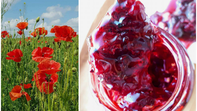 Dulceață din petale de mac sălbatic de la Natalia Matiescu