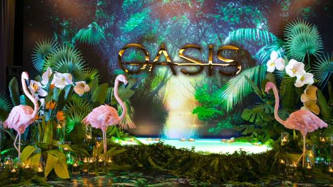 Lux și rafinament: Prezentarea noului complex locativ OASIS