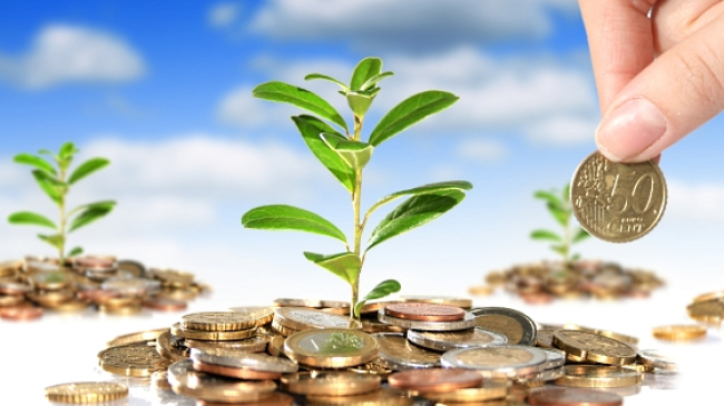 Cum atragi banii în viața ta: sfaturi utile ale psihologului