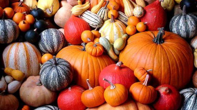 Despre beneficiul dovleacului: te va proteja de răceală, va întări inima și va curăța ficatul