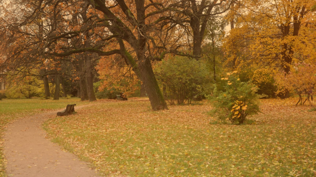 Rețeaua Wi-Fi din Grădina Botanică a crescut numărul vizitatorilor