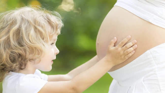 In Germania s-au desdchis cursuri pentru viitorii fraţi şi surori