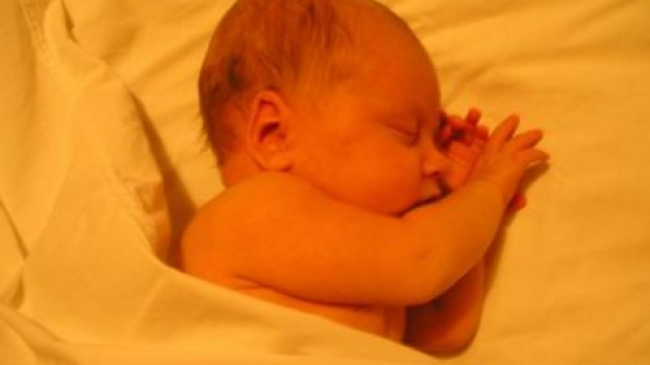 В первые часы 2015 года 14 супружеских пар стали родителями