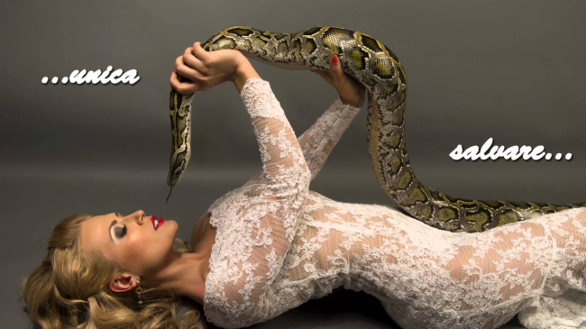 Dianna Rotaru a intrat în gura internauţilor după ce a postat o poză pe facebook