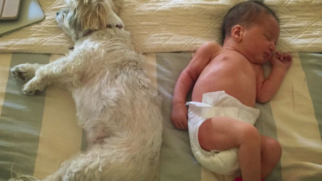 Новорожденная дочь Миллы Йовович спит с собакой