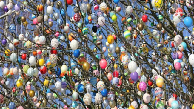 Невероятный поступок в преддверии Пасхи: семья из Германии украсила дерево тысячами яиц!