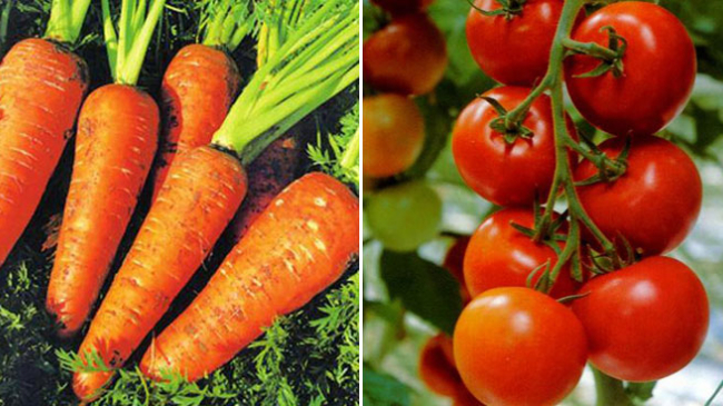 Nu este sănătos să mănânci crude roșia și morcovul! Află motivul!