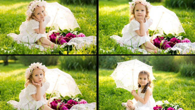 Proiectul foto “Micile prietene”