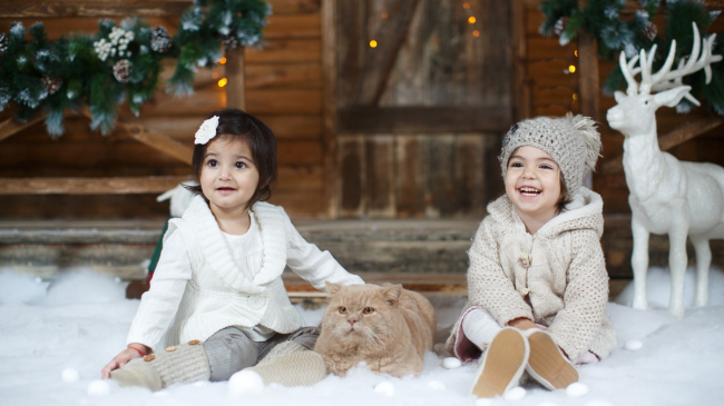 Новогоднее волшебство от Алены Никаноровой