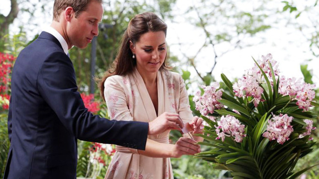 Принц Уильям и герцогиня Кэтрин дали дочери имя