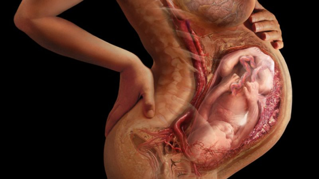 Так выглядит ваше тело! Уникальный фотопроект о том, что скрыто от наших глаз...