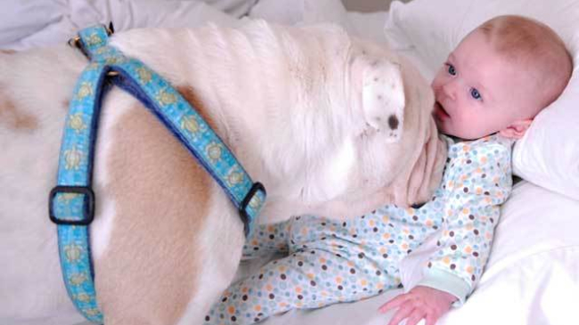 Dragoste de la prima vedere: Lola şi Harper