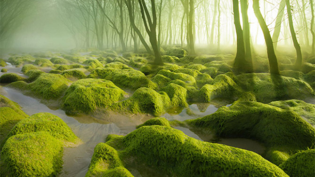 Великолепные фото Румынии