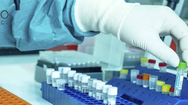 Как узнать, нет ли угрозы будущему ребенку от TORCH-инфекций?