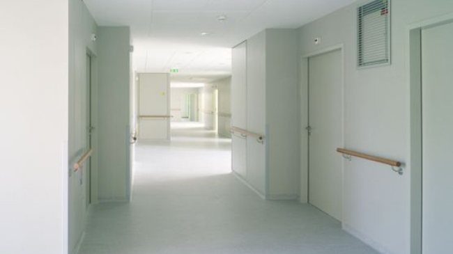 Утверждено: безработные женщины и домохозяйки смогут брать декретный отпуск