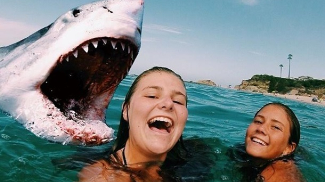 Эпидемия сэлфицида: в этом году из-за селфи погибли 50 человек