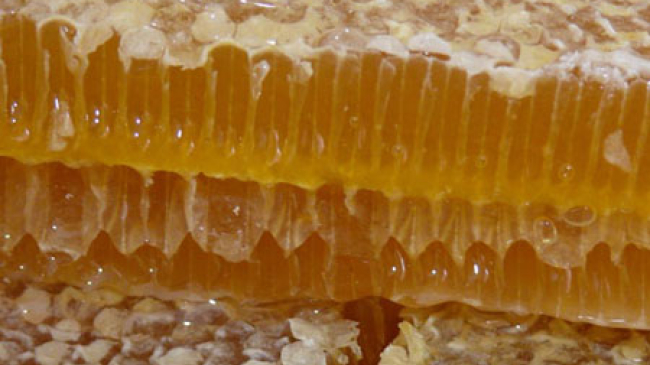 Мед в Молдове в этом году подорожает на треть