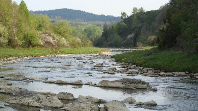 Вода в Днестре опасна для здоровья