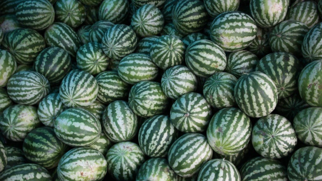 Atenție, intoxicații cu pepene roșu