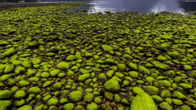 15 отборных снимков National Geographic, которые способны загипнотизировать каждого