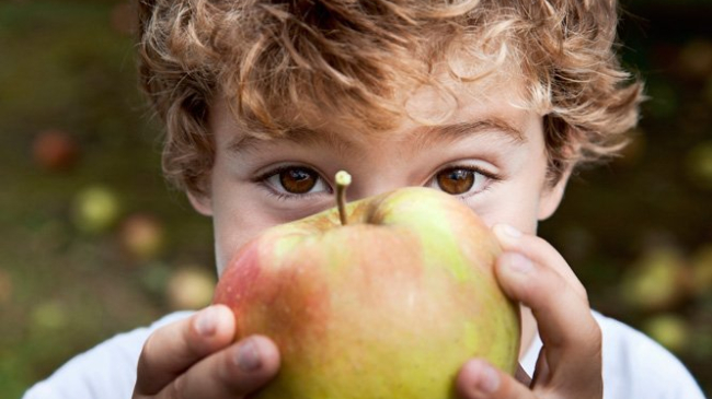 16 незаменимых продуктов, которые помогут школьнику!