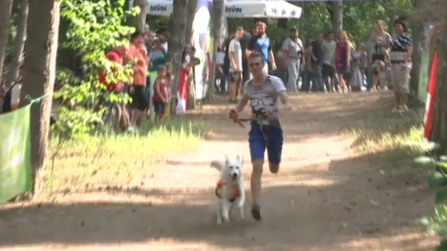 Более 50 собак разных пород участвовали в забеге вокруг озера "Валя Морилор"