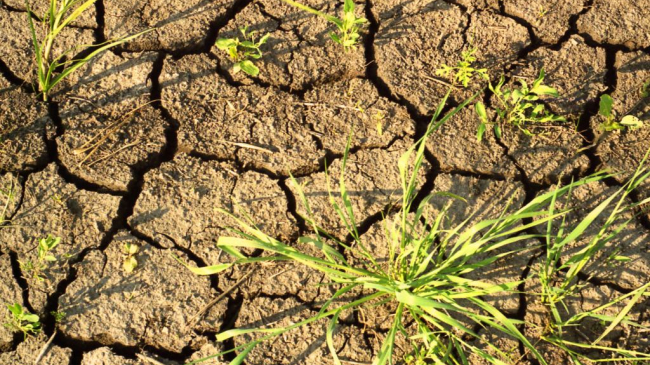 Moldova nu a mai văzut aşa ceva de 30 de ani!