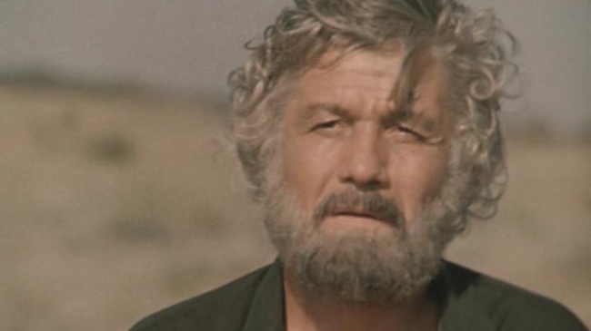 Умер Михай Волонтир