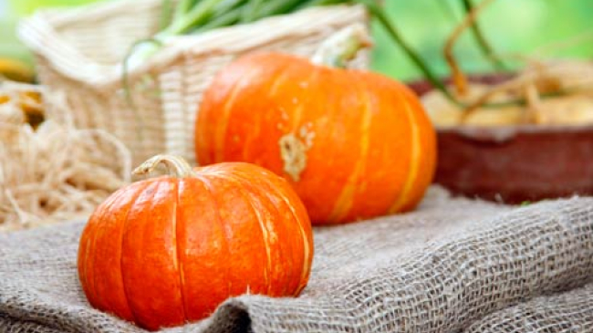 Полезные свойства тыквы. Этот овощ чистит печень, как губка