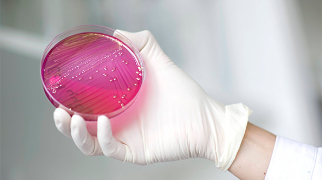 Ученые обнаружили вокруг человека облако микробов