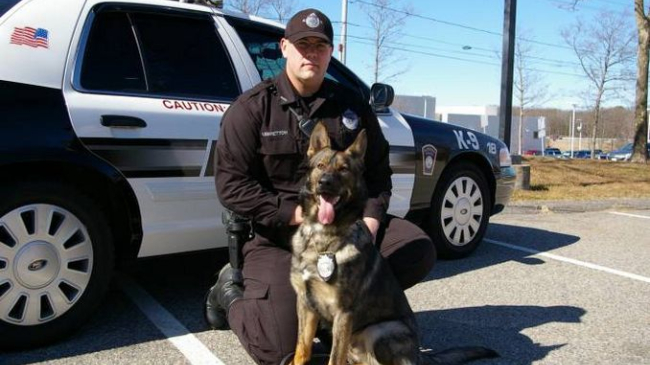 Американкий школьник пожертвовал личные накопления на бронежилеты для собак