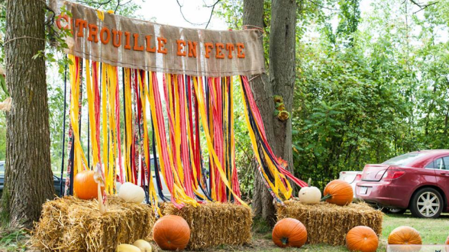 Moldovenii au organizat o Bostaniada de Canada (Foto, Video)