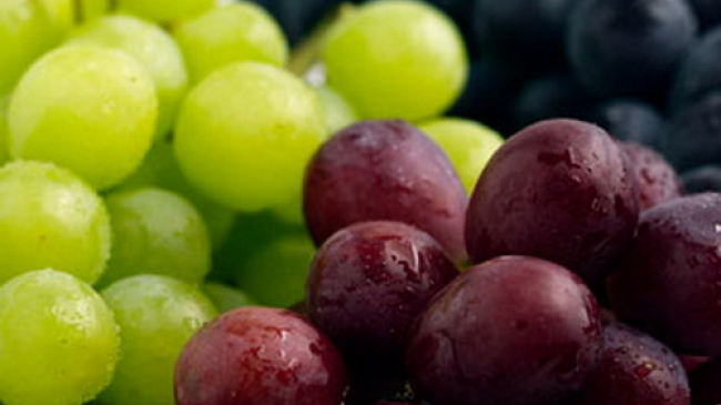 Анализ цен: сколько стоит килограмм столового винограда