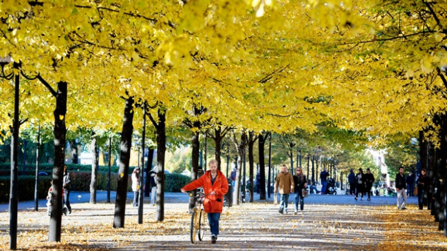 На неделе в Молдове потеплеет до +17