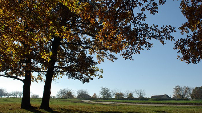 În următoarele şapte zile temperatura aerului va scădea pînă la 0 grade