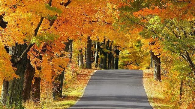 Метеорологи: температуры ноября превышают норму на 10 градусов