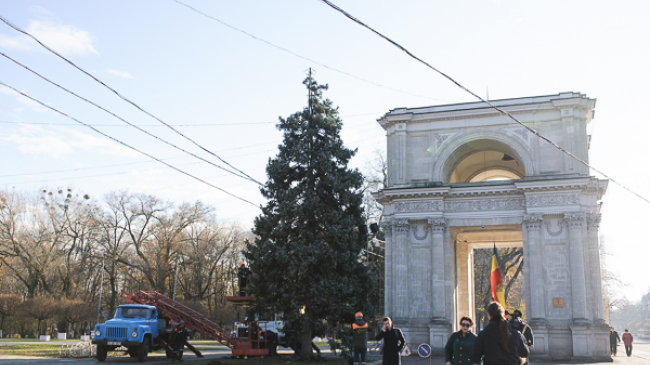 Pomul de Crăciun va fi lângă Arcul de Triumf
