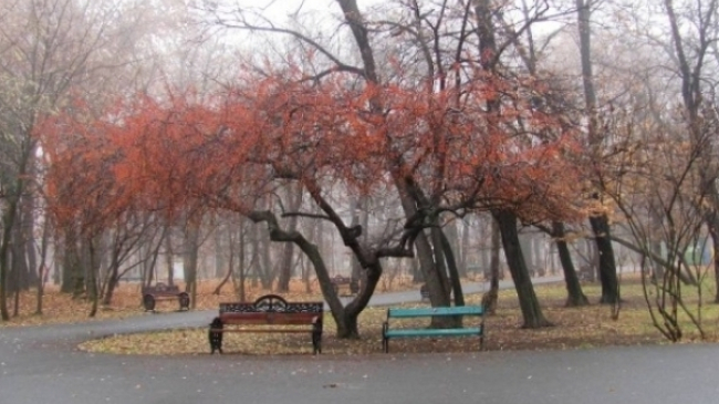 Vremea se incalzeste. De ce temperaturi vor avea parte in urmatoarele zile