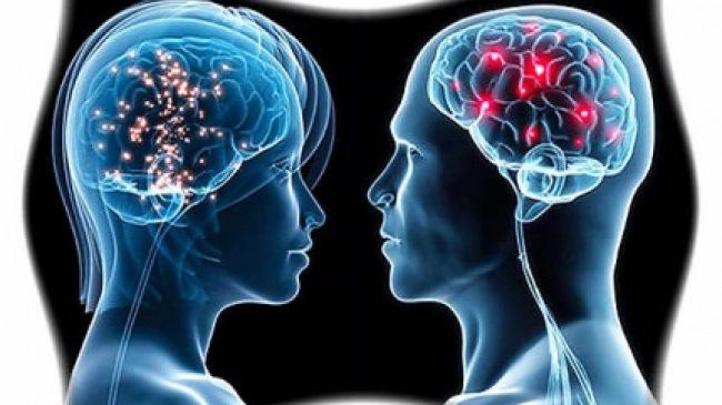 Ученые: Мозг женщины и мозг мужчины в целом не отличаются друг от друга