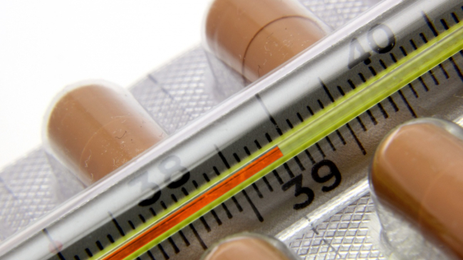 В Кишиневе гриппа пока нет