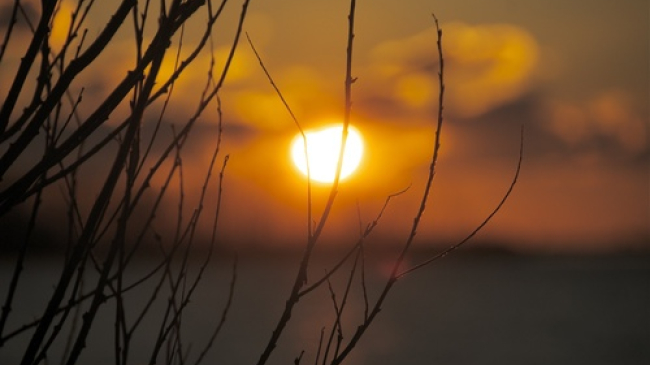 На этой неделе нас ожидает теплая и солнечная погода