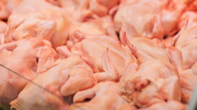В курином мясе ученые нашли новый смертоносный вирус