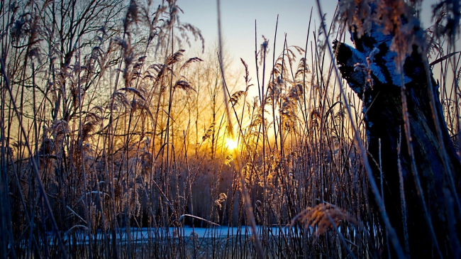 В ближайшие дни в Молдове потеплеет до +9 градусов
