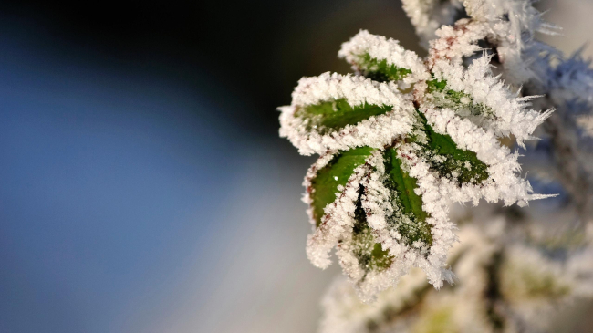 30 декабря в Молдове будет до -7 градусов