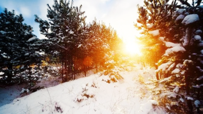 В Молдове 19 января будет до - 8 градусов
