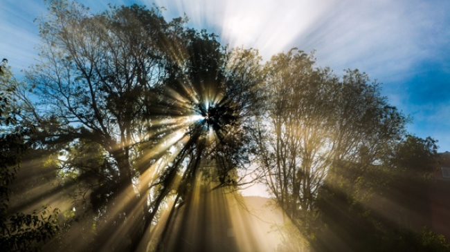 Начало новой недели окажется аномально теплым